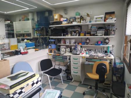 laboratorio-dentistico-orthowell 