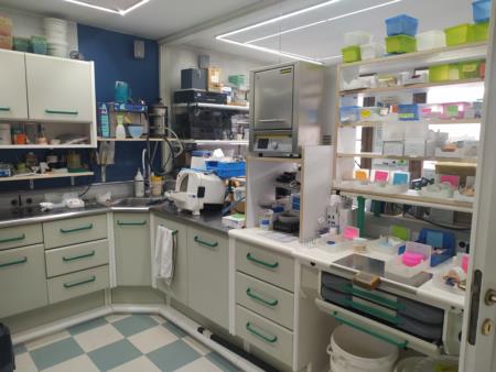 laboratorio-orthowell-sutrio 